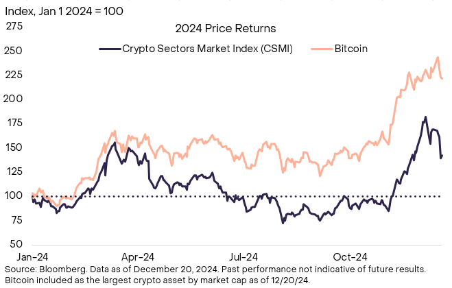 Crypto Sectors index in 2024